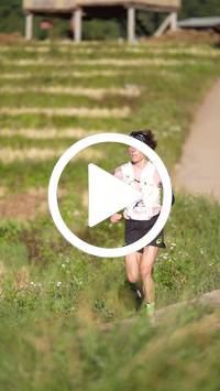 BIB:  <button type="button" onclick="openModal(26786611)" class="btn btn-primary btn-sm float-right" data-toggle="modal" data-target=".modal-high-quality">
                <i class="fa fa-download"></i> Download
                </button>